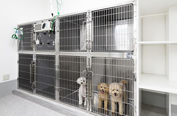 犬入院室